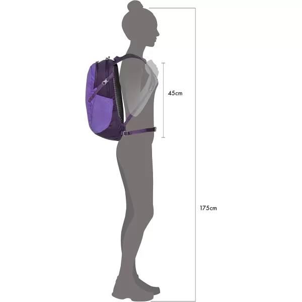Osprey Daylite Commuter BackpackDream Purple