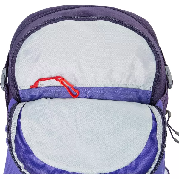 Osprey Daylite Commuter BackpackDream Purple