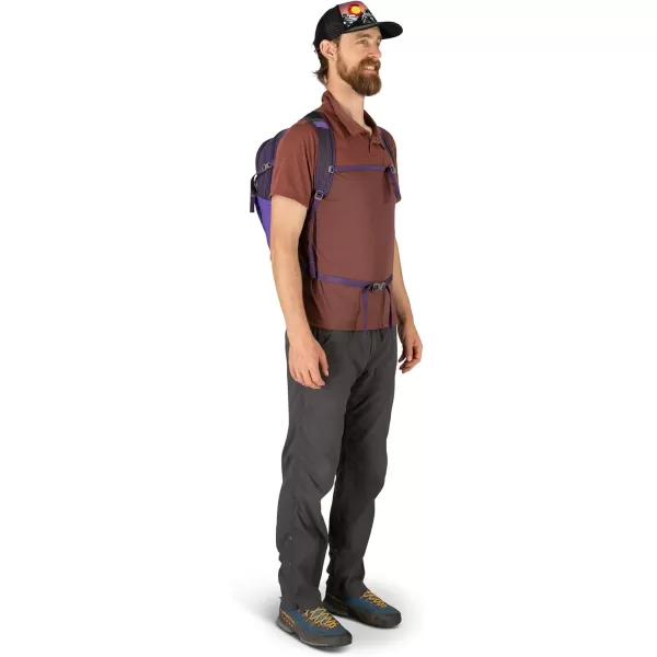 Osprey Daylite Plus Commuter Backpack BlackDream Purple