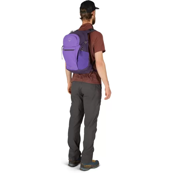 Osprey Daylite Plus Commuter Backpack BlackDream Purple