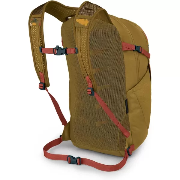 Osprey Daylite Plus Commuter Backpack BlackForest of Us