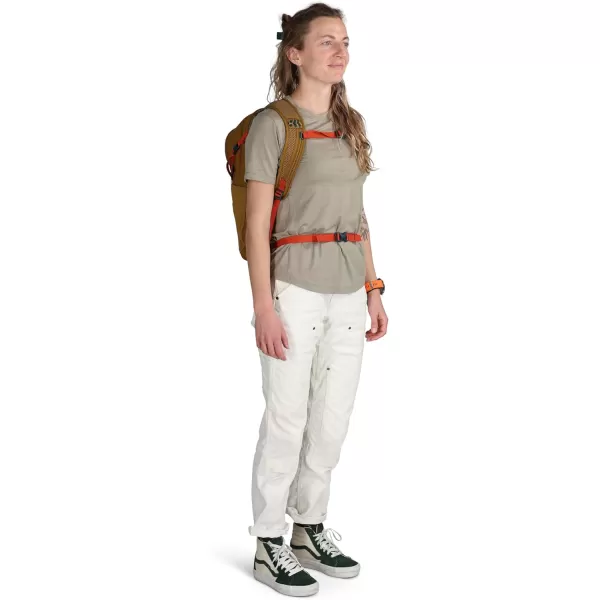 Osprey Daylite Plus Commuter Backpack BlackForest of Us