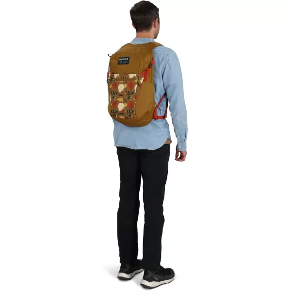 Osprey Daylite Plus Commuter Backpack BlackForest of Us