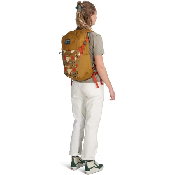 Osprey Daylite Plus Commuter Backpack BlackForest of Us