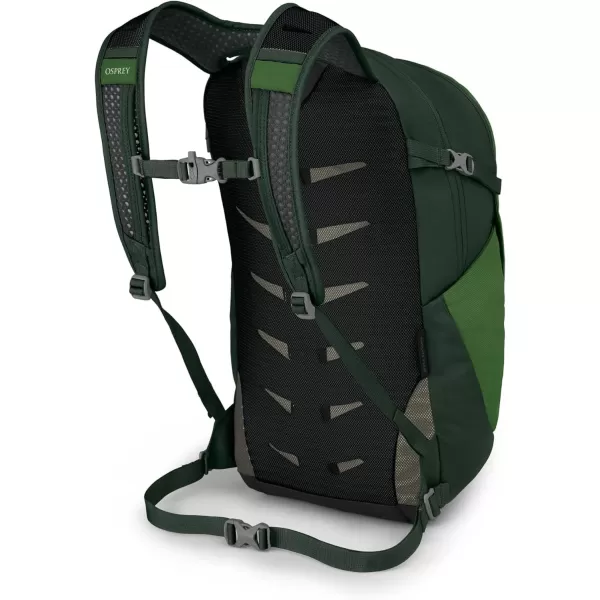 Osprey Daylite Plus Commuter Backpack BlackGreen BeltGreen Canopy