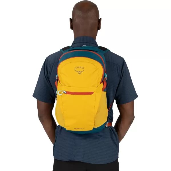 Osprey Daylite Plus Commuter Backpack BlackGreen CanopyGreen Creek