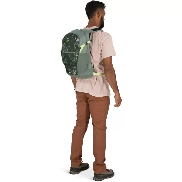 Osprey Daylite Plus Commuter Backpack BlackRattan PrintRocky Brook
