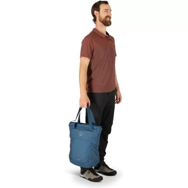 Osprey Daylite Tote Pack Blue SpikemossAlkalineDream Purple