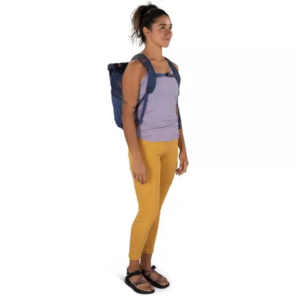 Osprey Daylite Tote Pack Blue SpikemossAlkalineMeadow GrayHistosol Brown