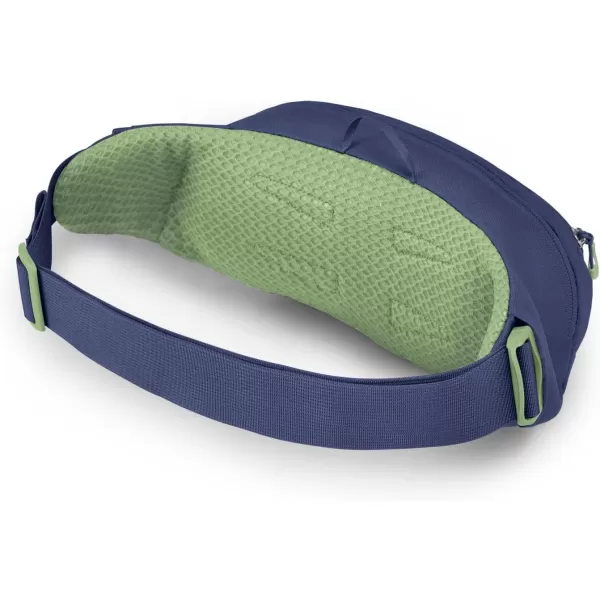 Osprey Daylite Waist PackBlue SpikemassAlkaline