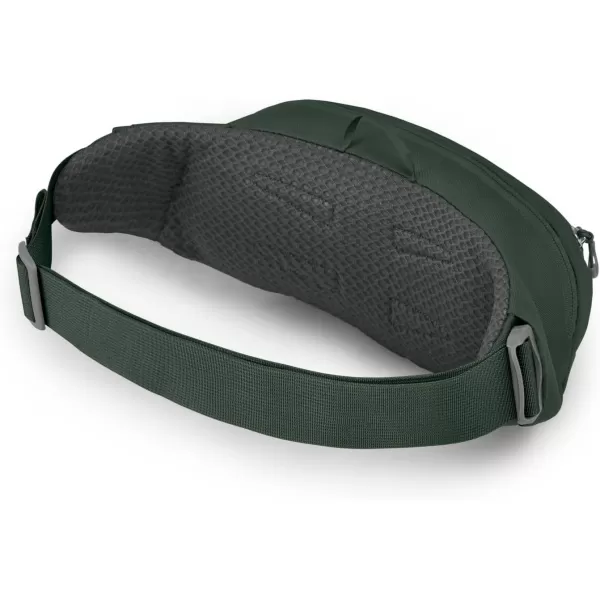 Osprey Daylite Waist PackGreen Beltareen Canopy
