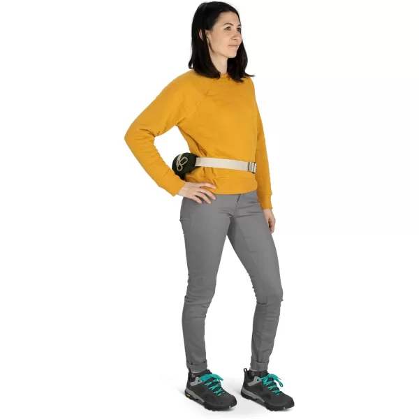 Osprey Daylite Waist PackGreen CanopyGreen