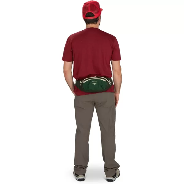 Osprey Daylite Waist PackGreen CanopyGreen
