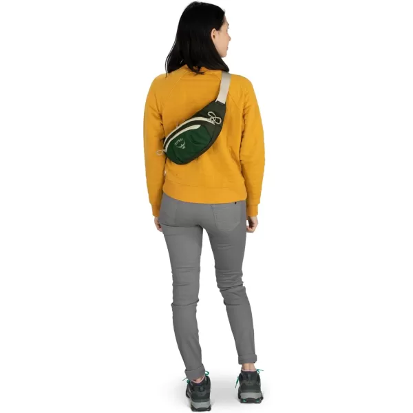 Osprey Daylite Waist PackGreen CanopyGreen