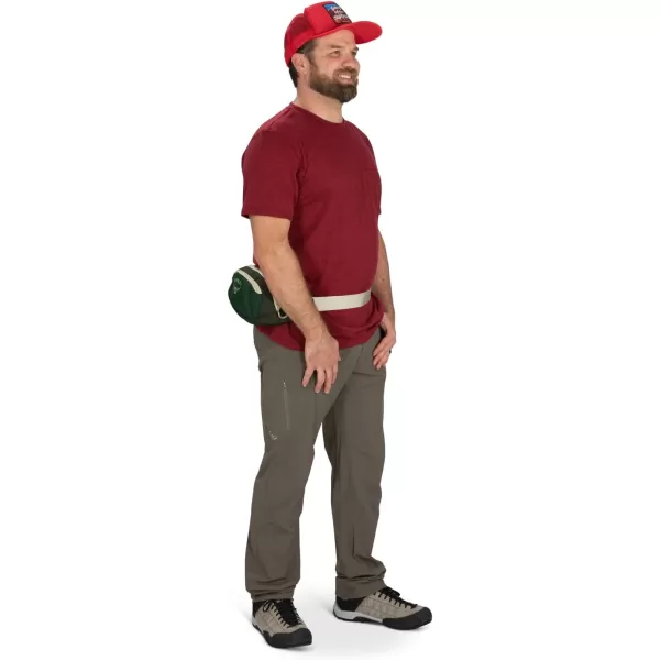 Osprey Daylite Waist PackGreen CanopyGreen