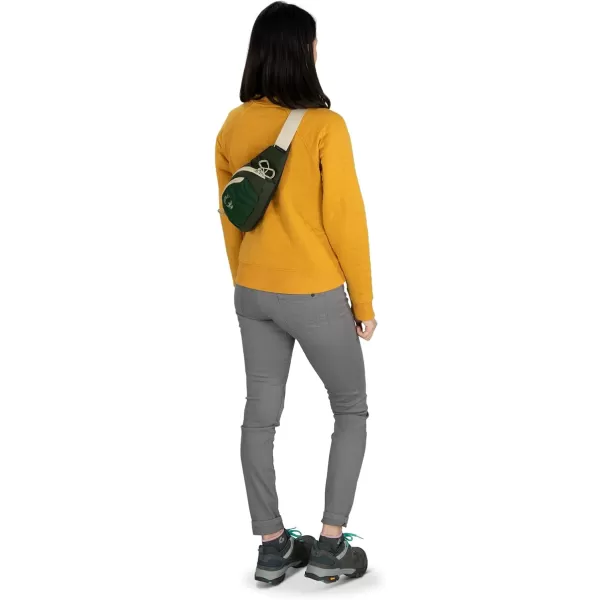 Osprey Daylite Waist PackGreen CanopyGreen