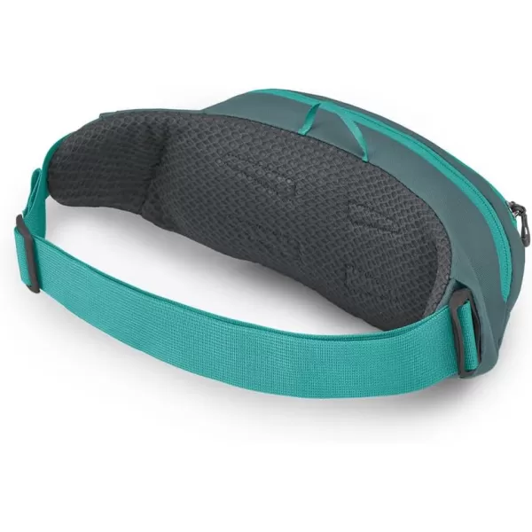 Osprey Daylite Waist PackJetstream Blue