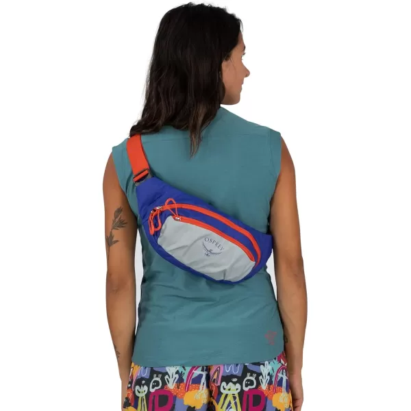 Osprey Daylite Waist PackMeadow GrayHistosol Brown