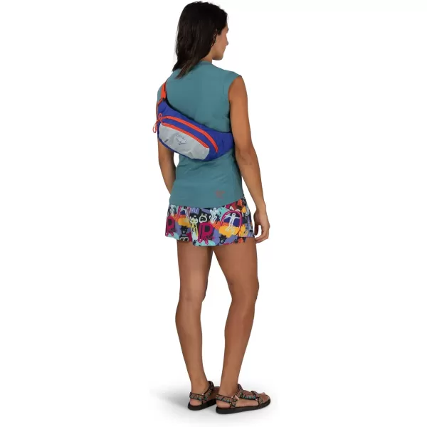 Osprey Daylite Waist PackMeadow GrayHistosol Brown