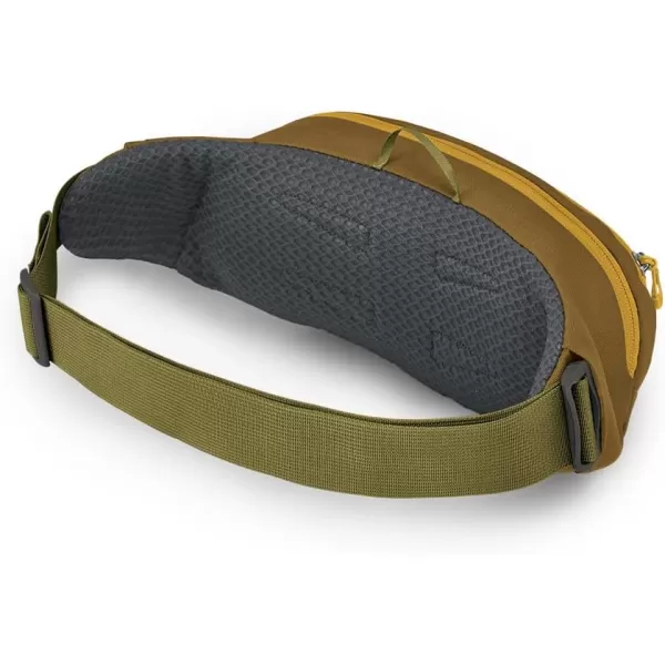 Osprey Daylite Waist PackMeadow GrayHistosol Brown