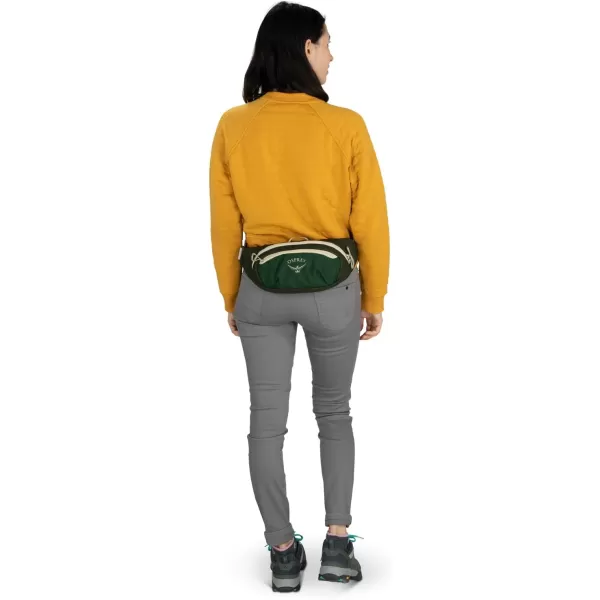 Osprey Daylite Waist PackTie Dye Print