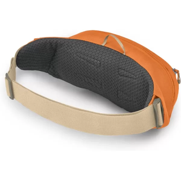 Osprey Daylite Waist PackUmberTequila Sunrise