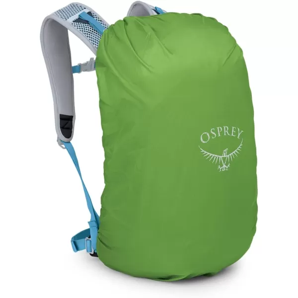 Osprey Hikelite 26L Unisex Hiking Backpack Pine Leaf GreenAtlas Blue