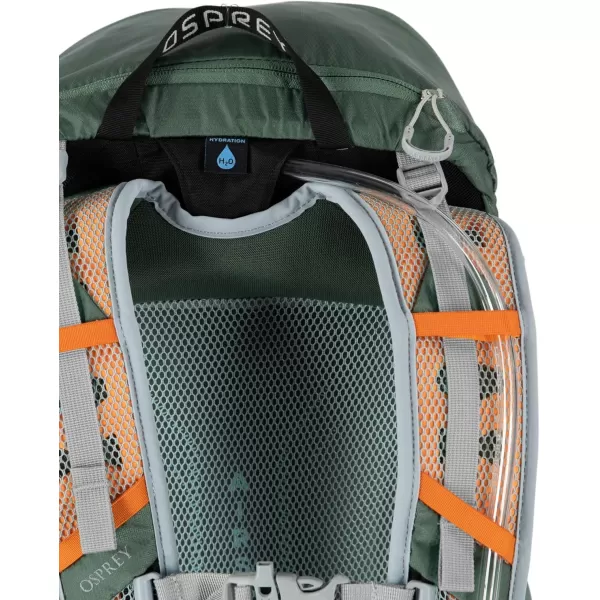 Osprey Hikelite 26L Unisex Hiking Backpack Pine Leaf GreenPine Leaf Green