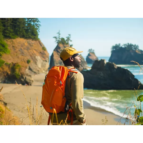 Osprey Hikelite 26L Unisex Hiking Backpack Pine Leaf GreenTan Concrete