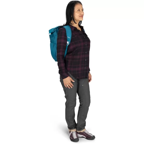 Osprey Poco Changing ToteDeep Peyto