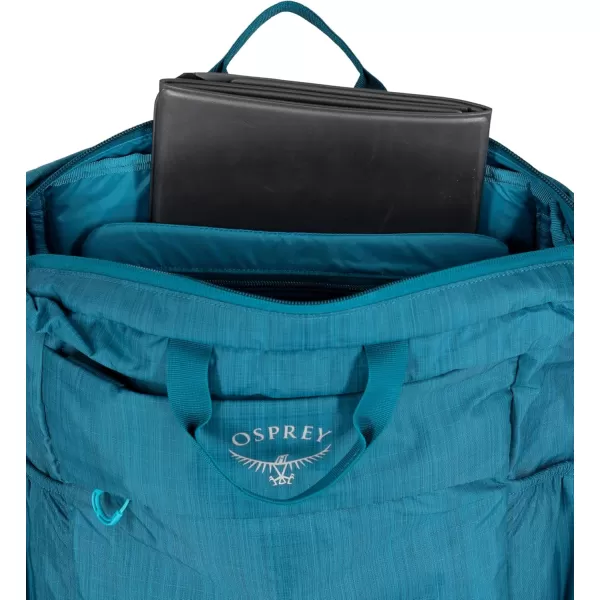 Osprey Poco Changing ToteDeep Peyto