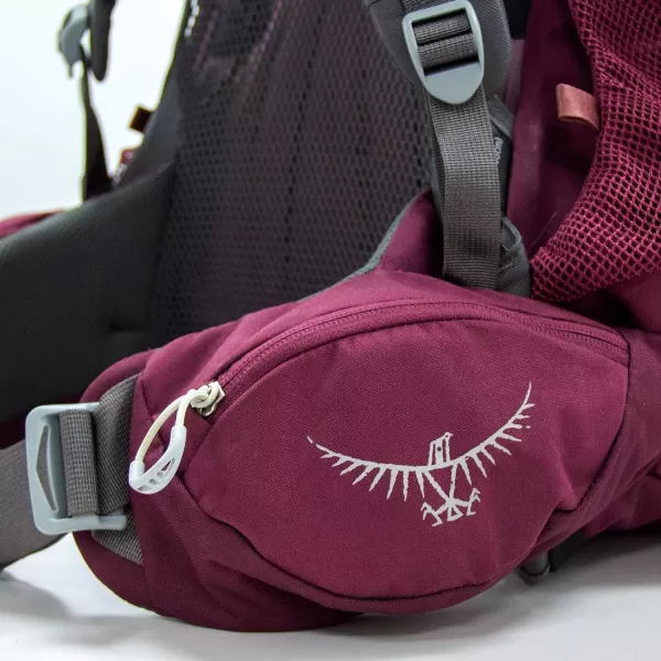 Osprey Renn 65L Womens Backpacking Backpack Aurora PurpleAurora Purple