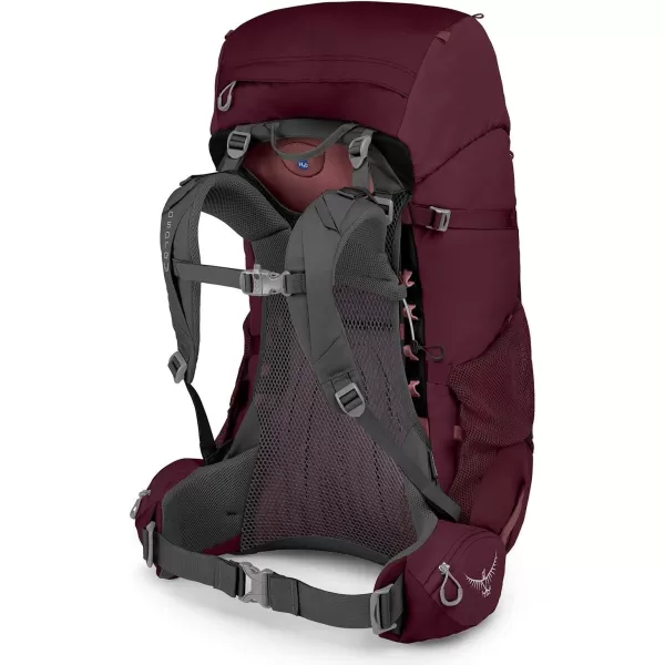 Osprey Renn 65L Womens Backpacking Backpack Aurora PurpleAurora Purple