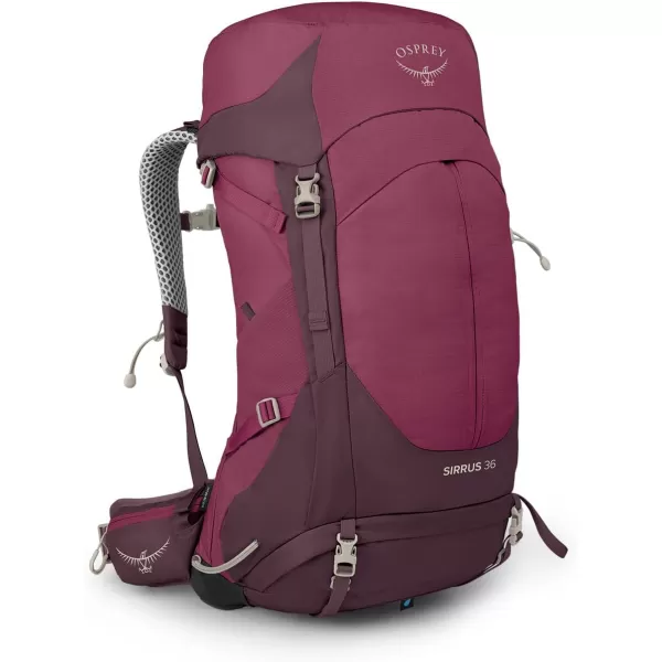 Osprey Sirrus 24L Womens Hiking Backpack Tunnel Vision GreyElderberry PurpleChiru Tan
