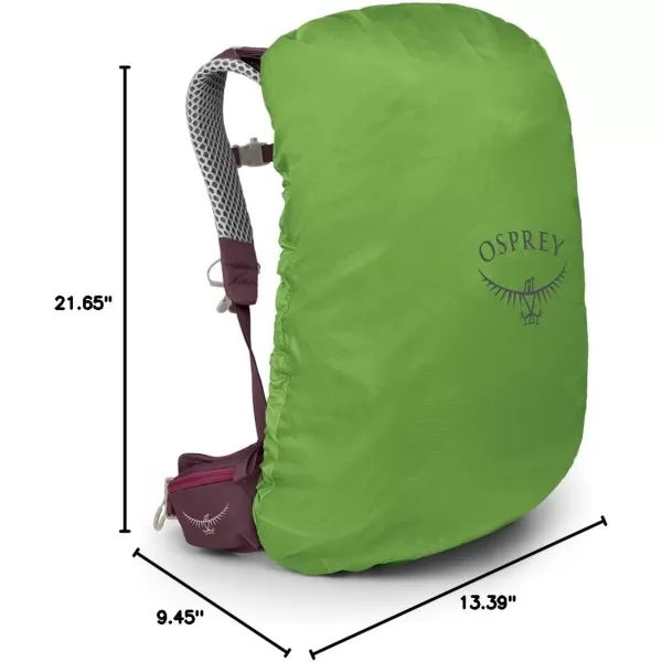 Osprey Sirrus 24L Womens Hiking Backpack Tunnel Vision GreyElderberry PurpleChiru Tan