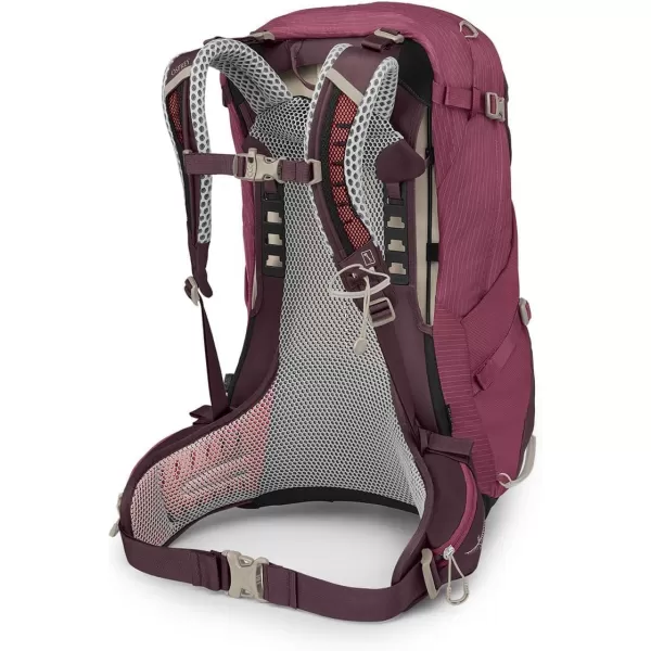 Osprey Sirrus 24L Womens Hiking Backpack Tunnel Vision GreyElderberry PurpleChiru Tan