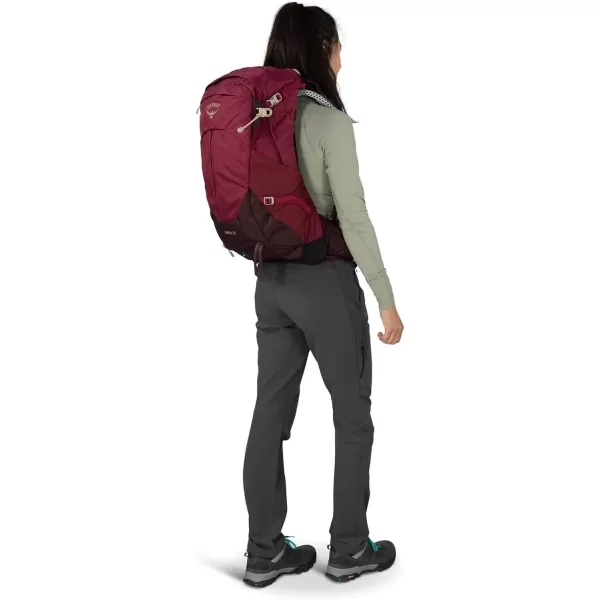 Osprey Sirrus 24L Womens Hiking Backpack Tunnel Vision GreyElderberry PurpleChiru Tan