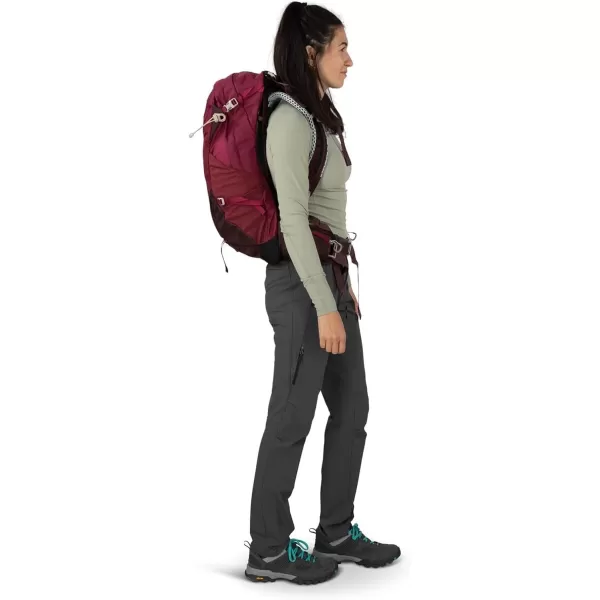 Osprey Sirrus 24L Womens Hiking Backpack Tunnel Vision GreyElderberry PurpleChiru Tan