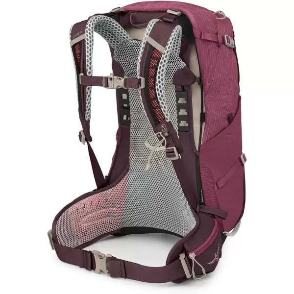Osprey Sirrus 24L Womens Hiking Backpack Tunnel Vision GreyElderberry PurpleChiru Tan