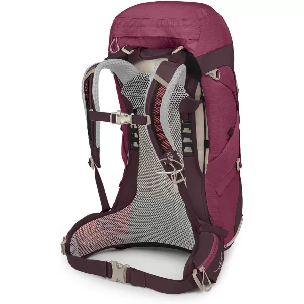 Osprey Sirrus 24L Womens Hiking Backpack Tunnel Vision GreyElderberry PurpleChiru Tan