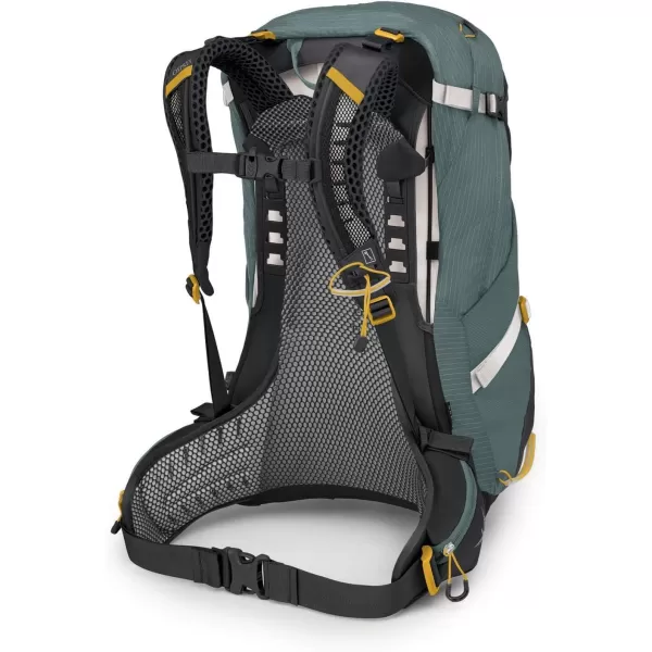 Osprey Sirrus 24L Womens Hiking Backpack Tunnel Vision GreySucculent Green