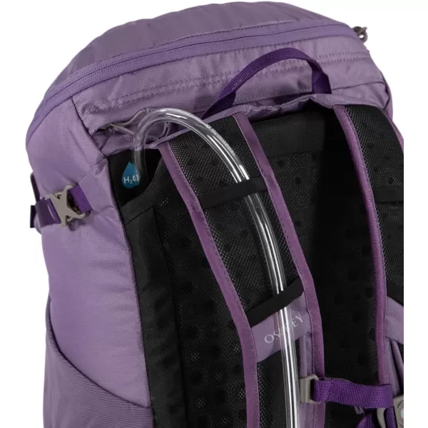 Osprey Skimmer 20L Womens Hiking Backpack with Hydraulics Reservoir Purpurite Purple