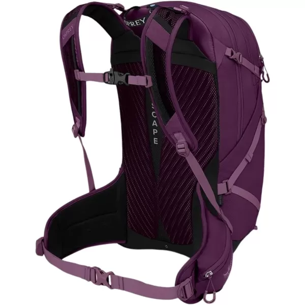 Osprey Sportlite 25 Hiking BackpackAubergine Purple