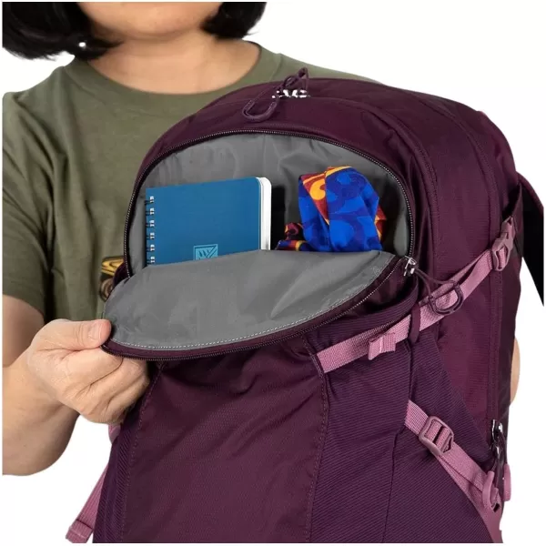 Osprey Sportlite 25 Hiking BackpackAubergine Purple