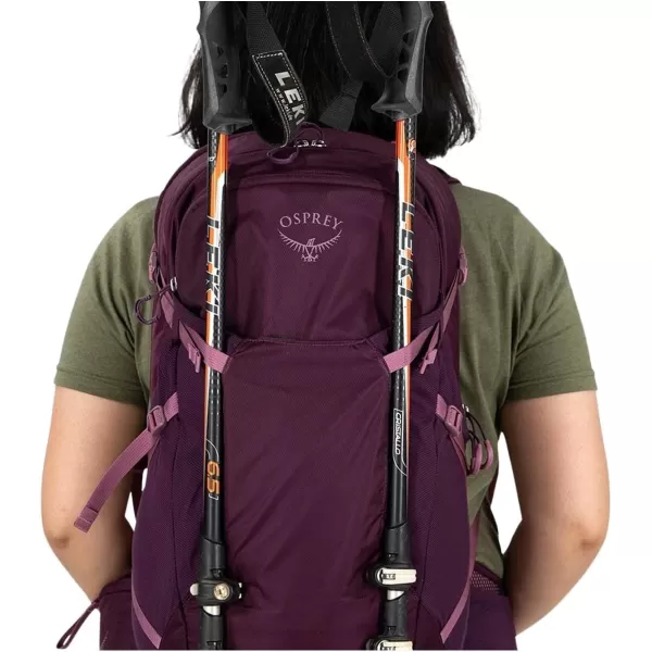 Osprey Sportlite 25 Hiking BackpackAubergine Purple