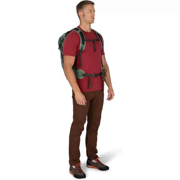 Osprey Sportlite 25 Hiking BackpackPine Leaf Green