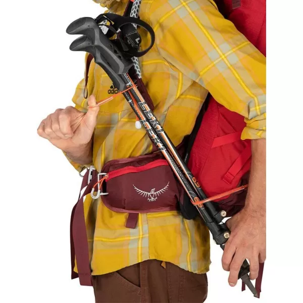 Osprey Stratos 44L Mens Hiking Backpack Cetacean BluePoinsettia Red
