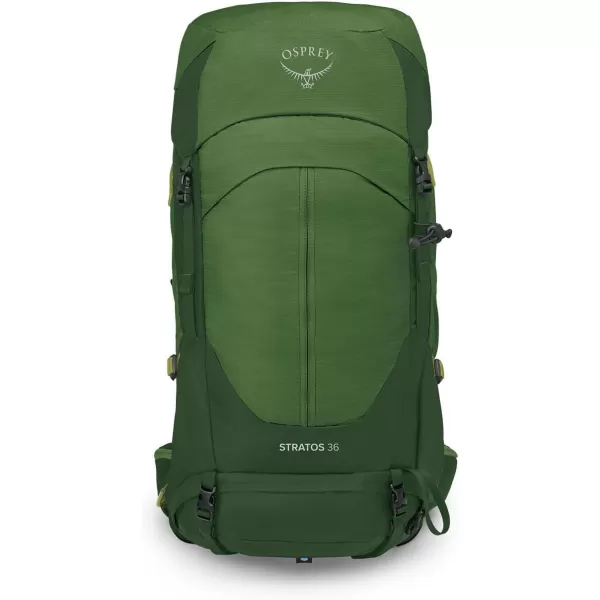 Osprey Stratos 44L Mens Hiking Backpack Cetacean BlueSeaweedMatcha Green