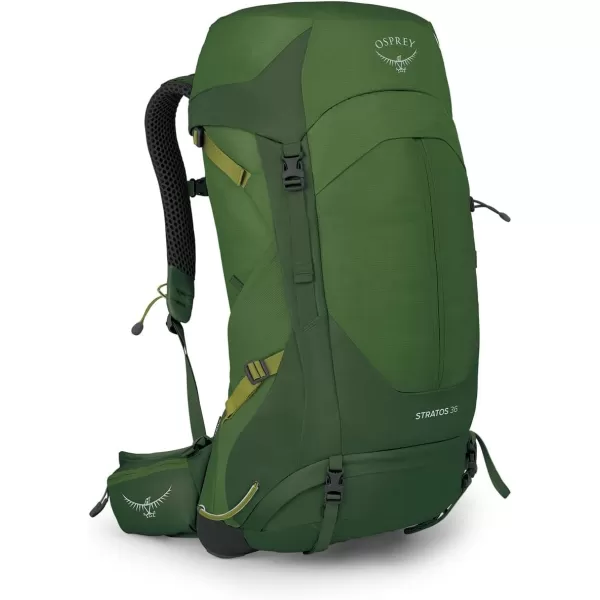 Osprey Stratos 44L Mens Hiking Backpack Cetacean BlueSeaweedMatcha Green