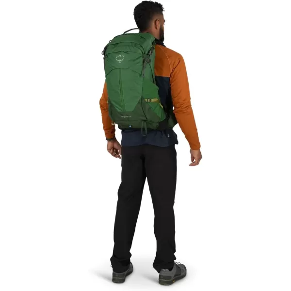 Osprey Stratos 44L Mens Hiking Backpack Cetacean BlueSeaweedMatcha Green